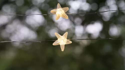 Hot Sale Patriot Lighting® 7′ 2-3/8″ 20-Light Battery-Powered Starfish Led String Light>* Online