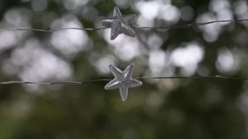 Hot Sale Patriot Lighting® 7′ 2-3/8″ 20-Light Battery-Powered Starfish Led String Light>* Online